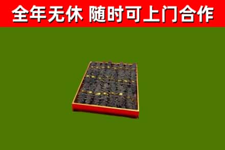 三穗回收海参